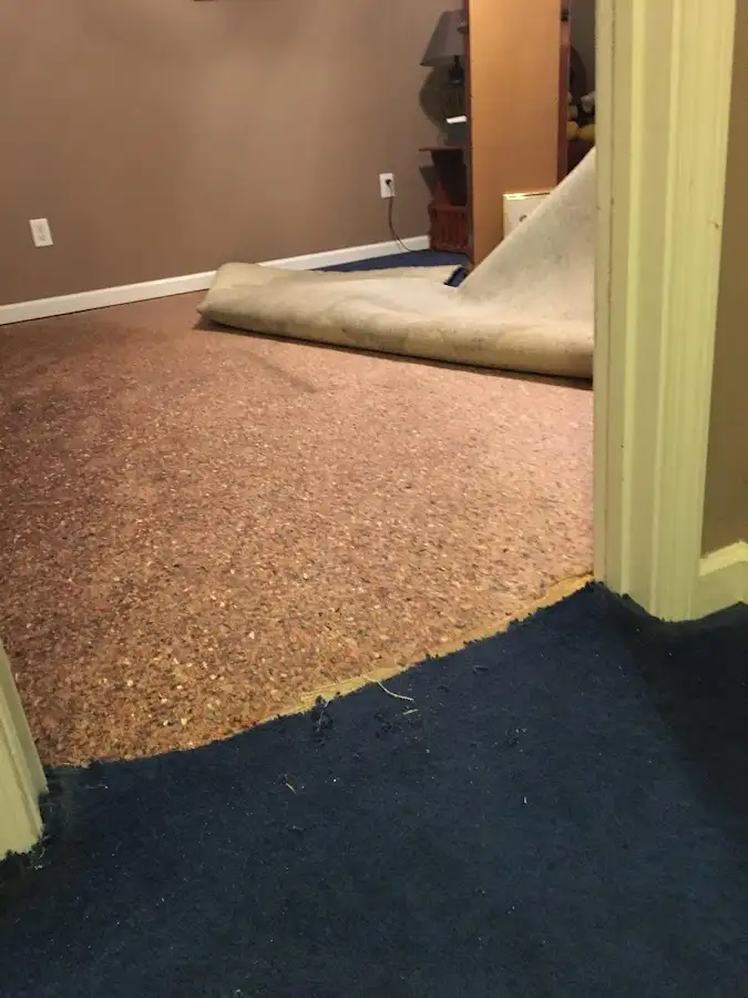 Carpet pad removal revealing water damage during Water Mitigation Services in Spring Ridge