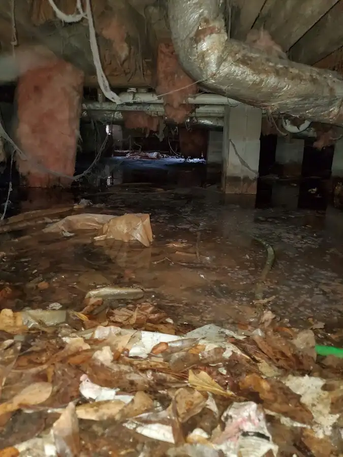 Crawl space flood assessment for Leak Detection & Repair in Spring Ridge